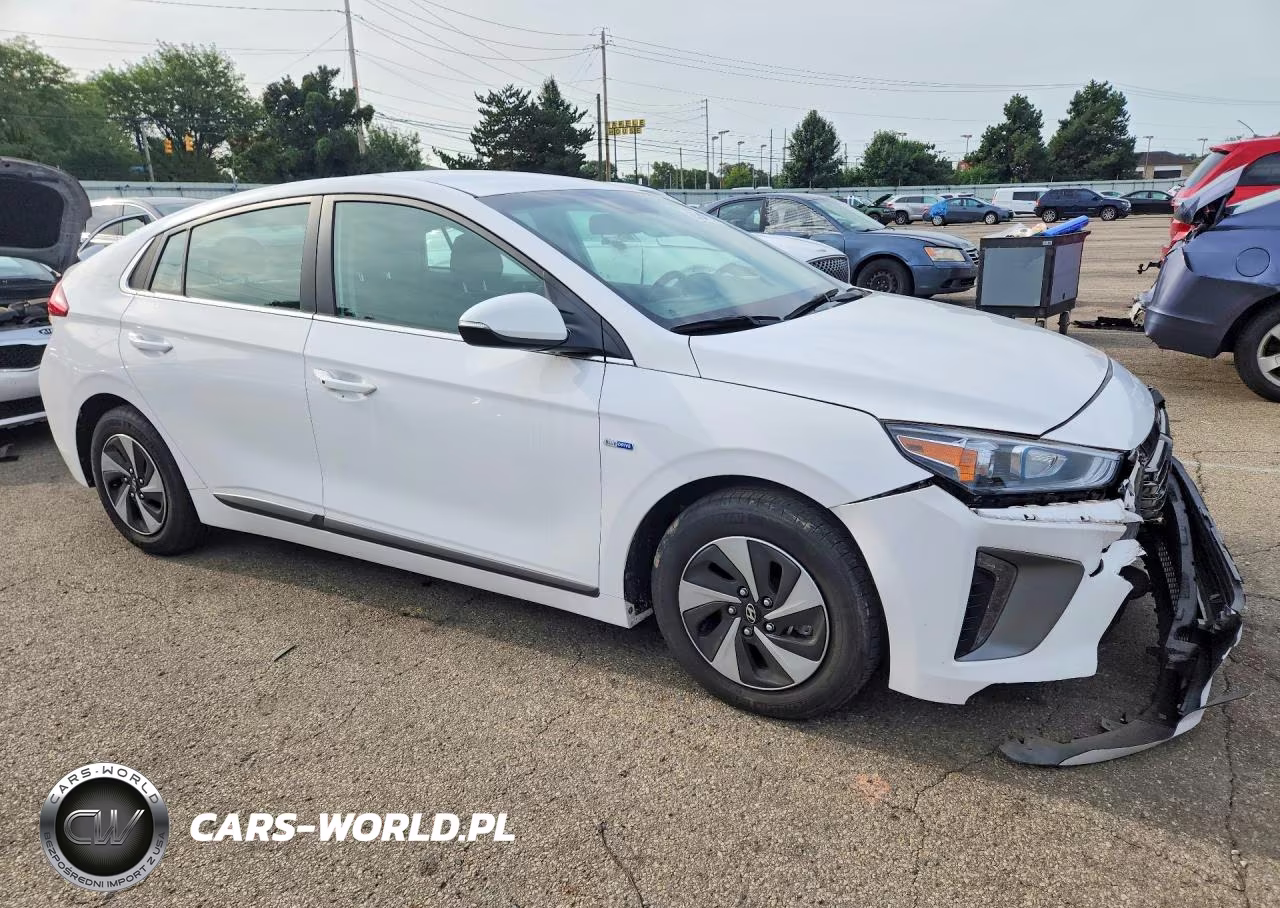 2017 Hyundai Ioniq Sel VIN:KMHC75LC0HU044320 - 4