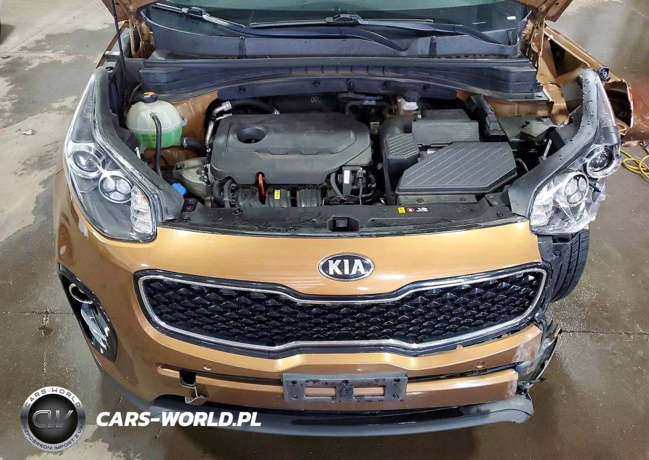 2017 Kia Sportage Ex VIN:KNDPN3AC7H7271389 - 12