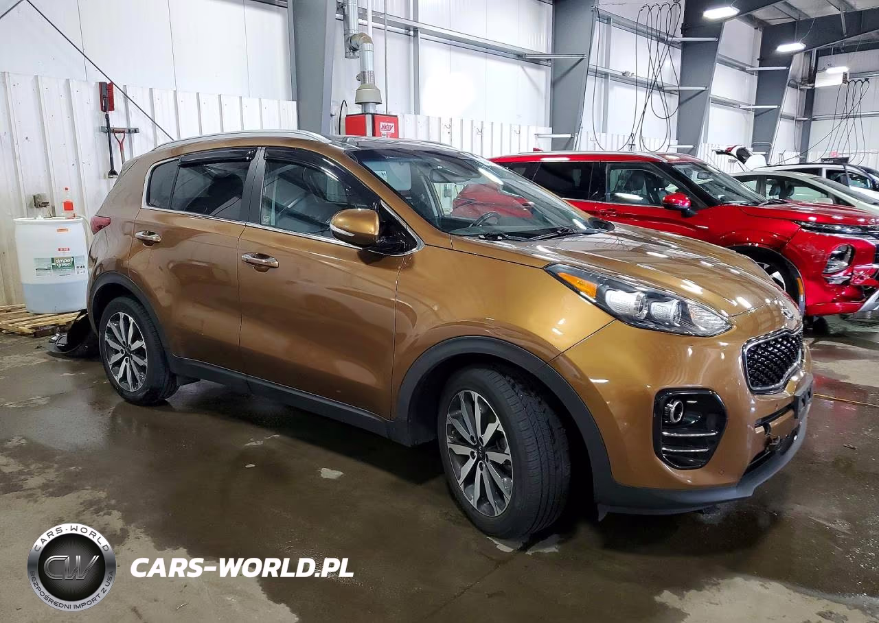 2017 Kia Sportage Ex VIN:KNDPN3AC7H7271389 - 4