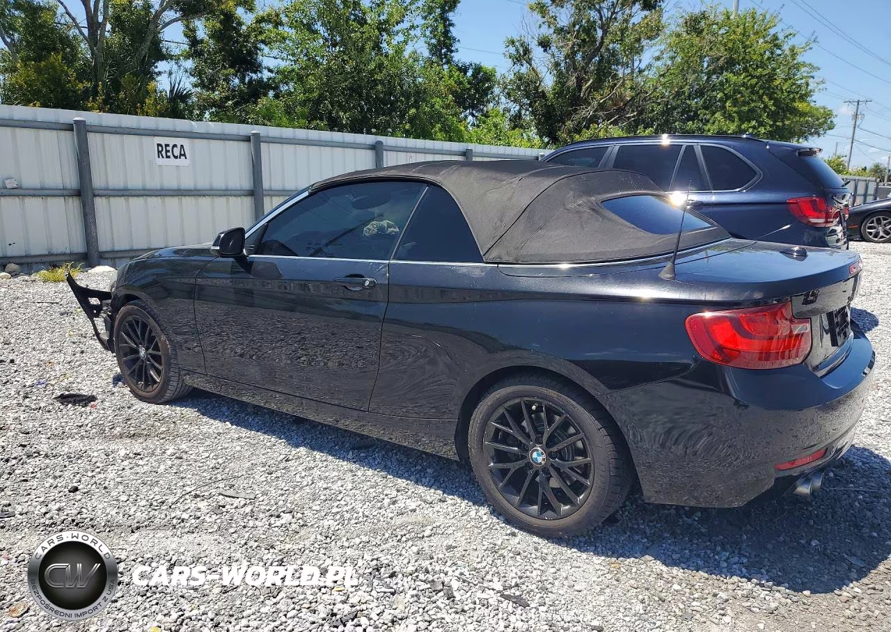 2015 BMW 228 I VIN:WBA1K5C58FV242787 - 2