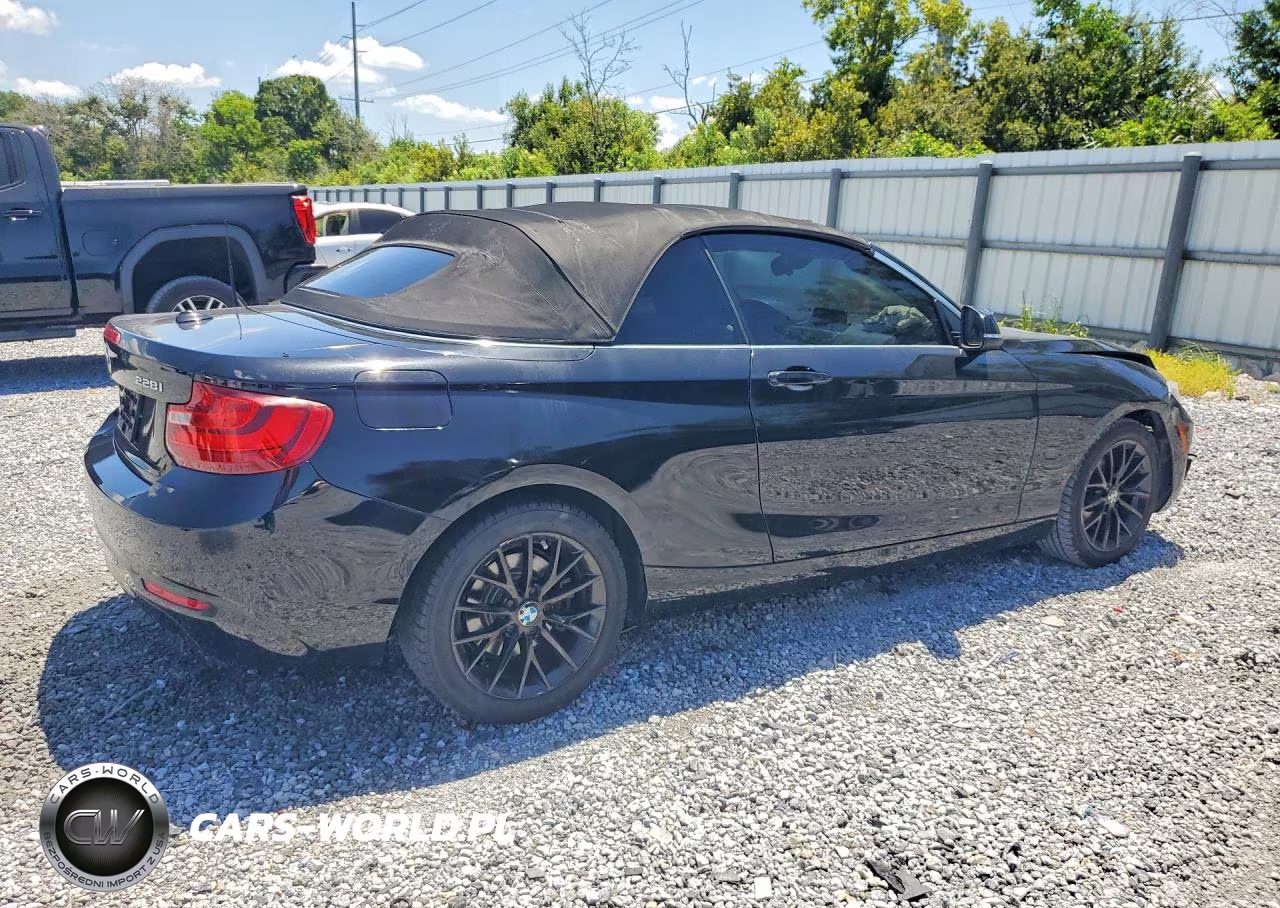 2015 BMW 228 I VIN:WBA1K5C58FV242787 - 3