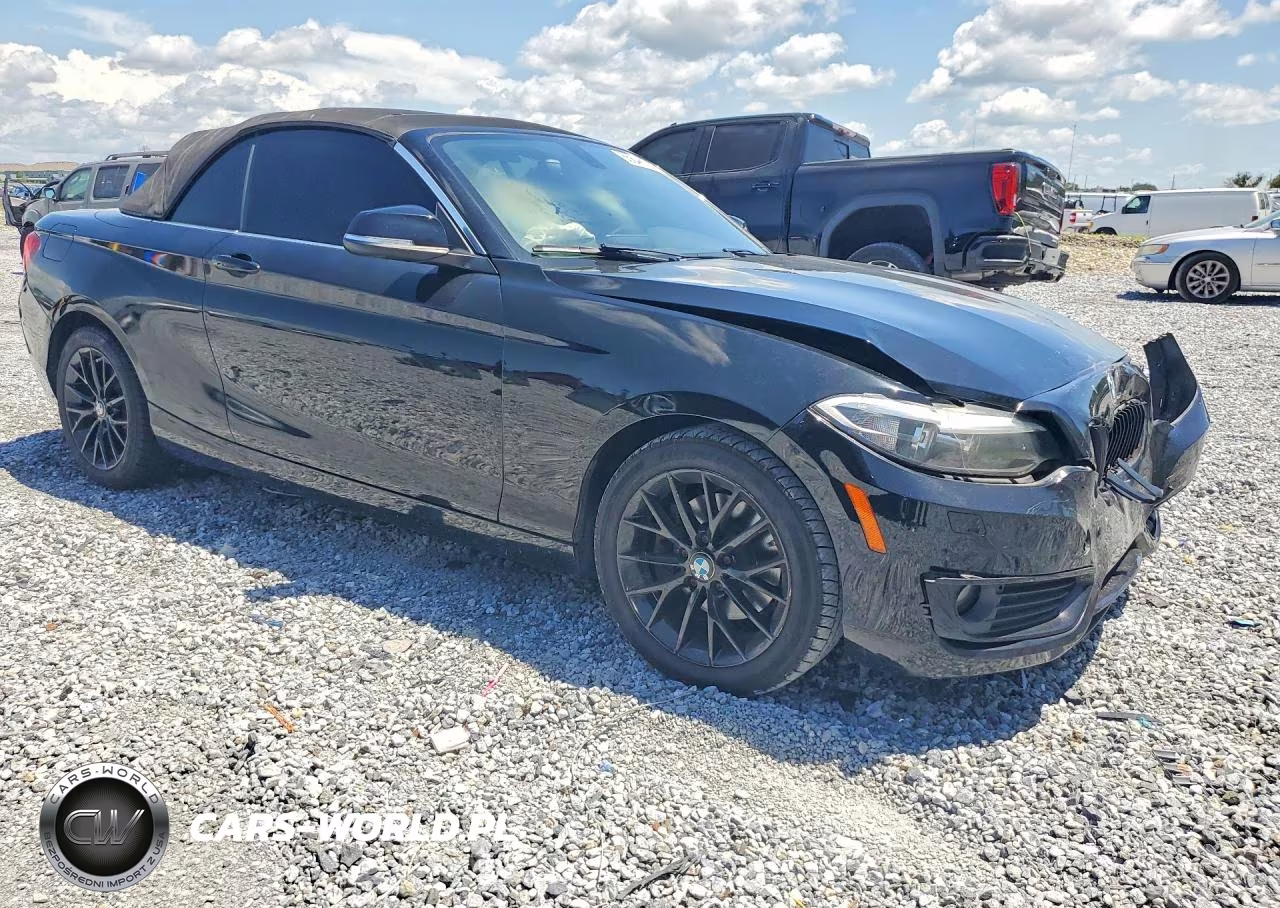 2015 BMW 228 I VIN:WBA1K5C58FV242787 - 4