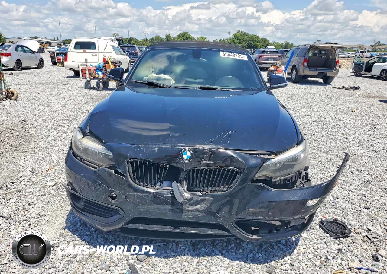 2015 BMW 228 I VIN:WBA1K5C58FV242787 - 5