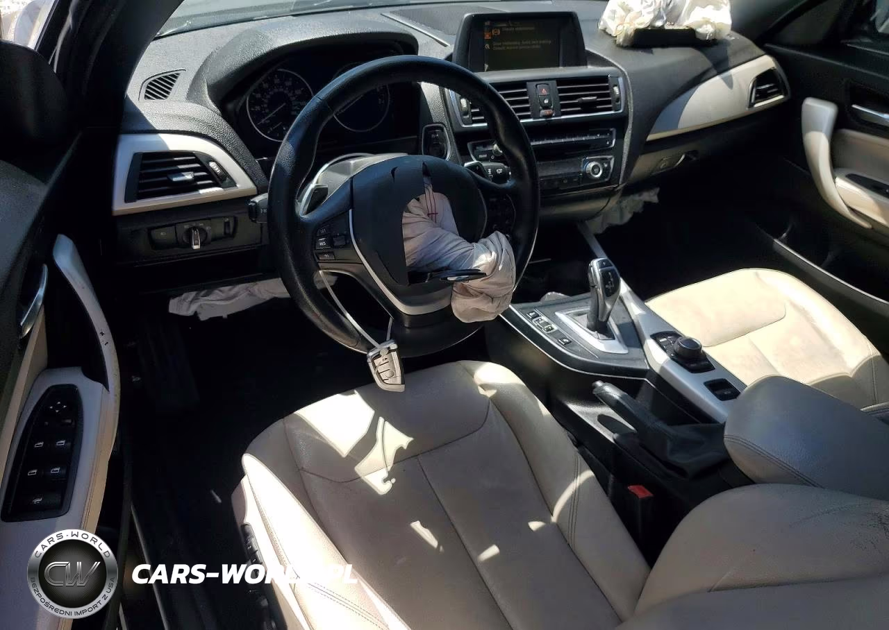2015 BMW 228 I VIN:WBA1K5C58FV242787 - 8