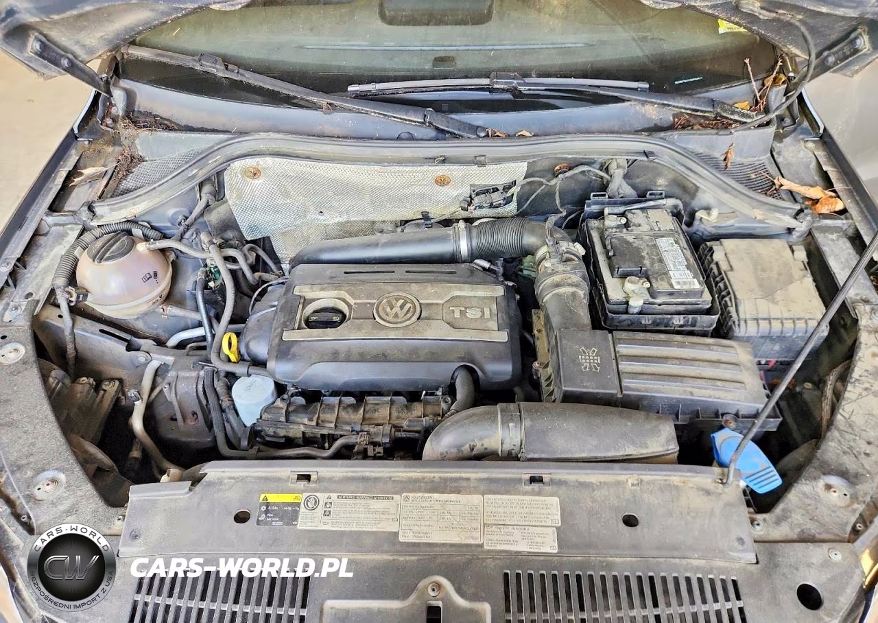 2016 Volkswagen Tiguan S VIN:WVGBV7AX1GW594311 - 12