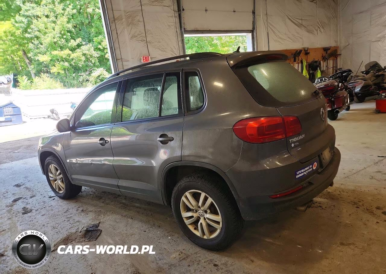 2016 Volkswagen Tiguan S VIN:WVGBV7AX1GW594311 - 2