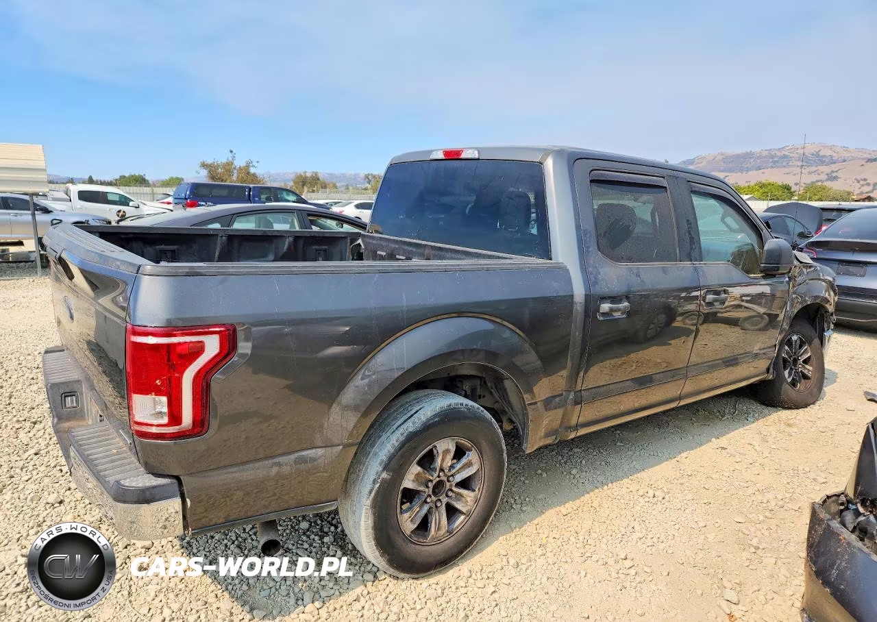 2016 Ford F150 Supercrew VIN:1FTEW1C84GKE05045 - 3