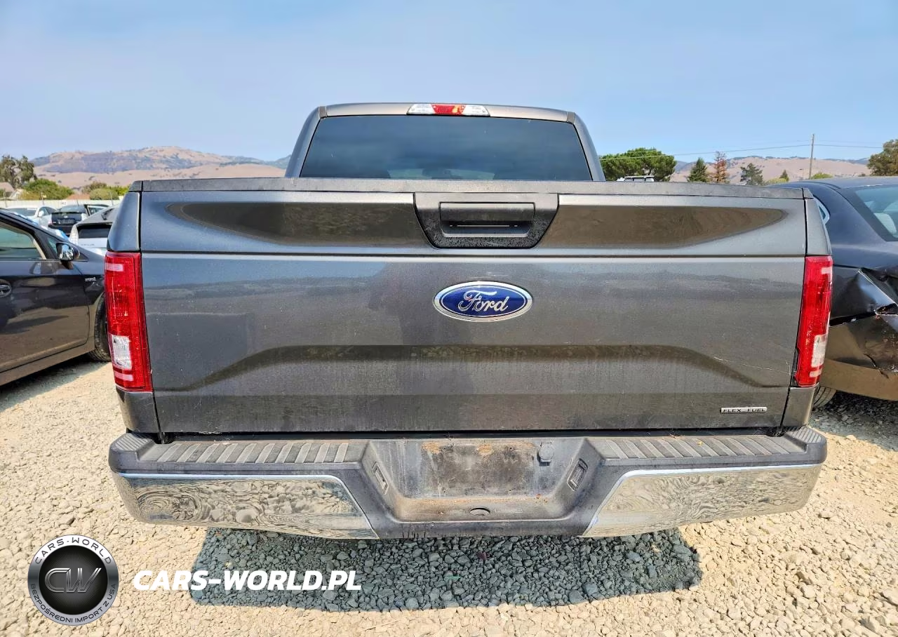 2016 Ford F150 Supercrew VIN:1FTEW1C84GKE05045 - 6