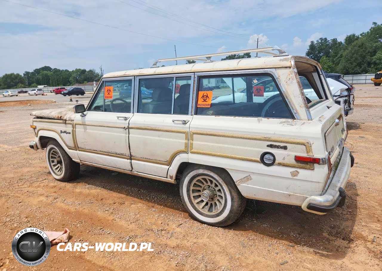 1991 Jeep Grand Wagoneer VIN:1J4GS5872MP801320 - 2