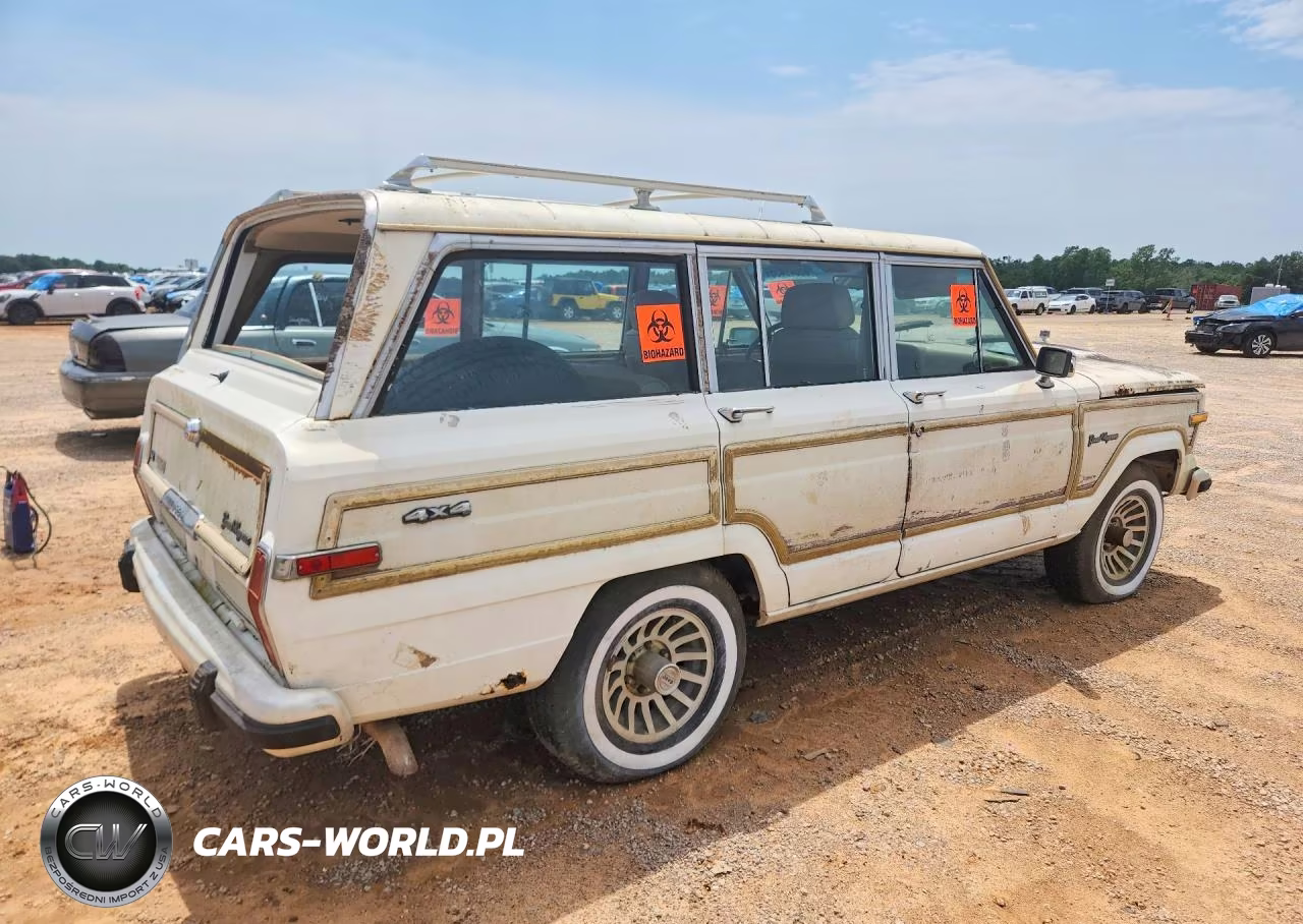 1991 Jeep Grand Wagoneer VIN:1J4GS5872MP801320 - 3