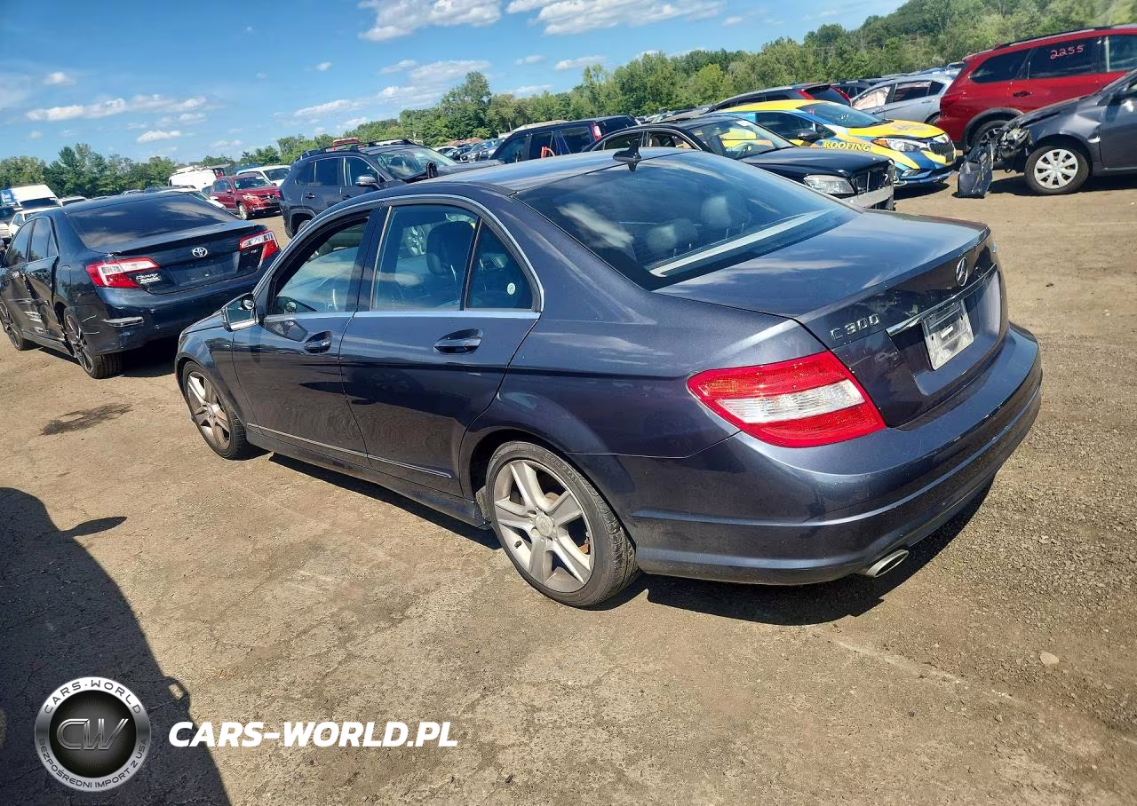 2010 Mercedes-Benz C 300 4Matic VIN:WDDGF8BB7AR123341 - 2