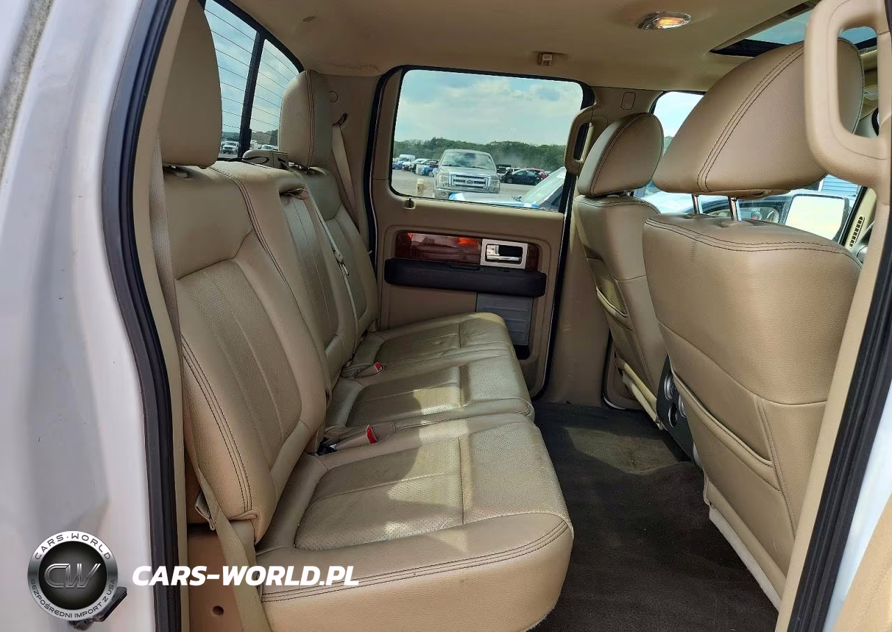 2010 Ford F150 Supercrew VIN:1FTFW1EV3AFC87397 - 10