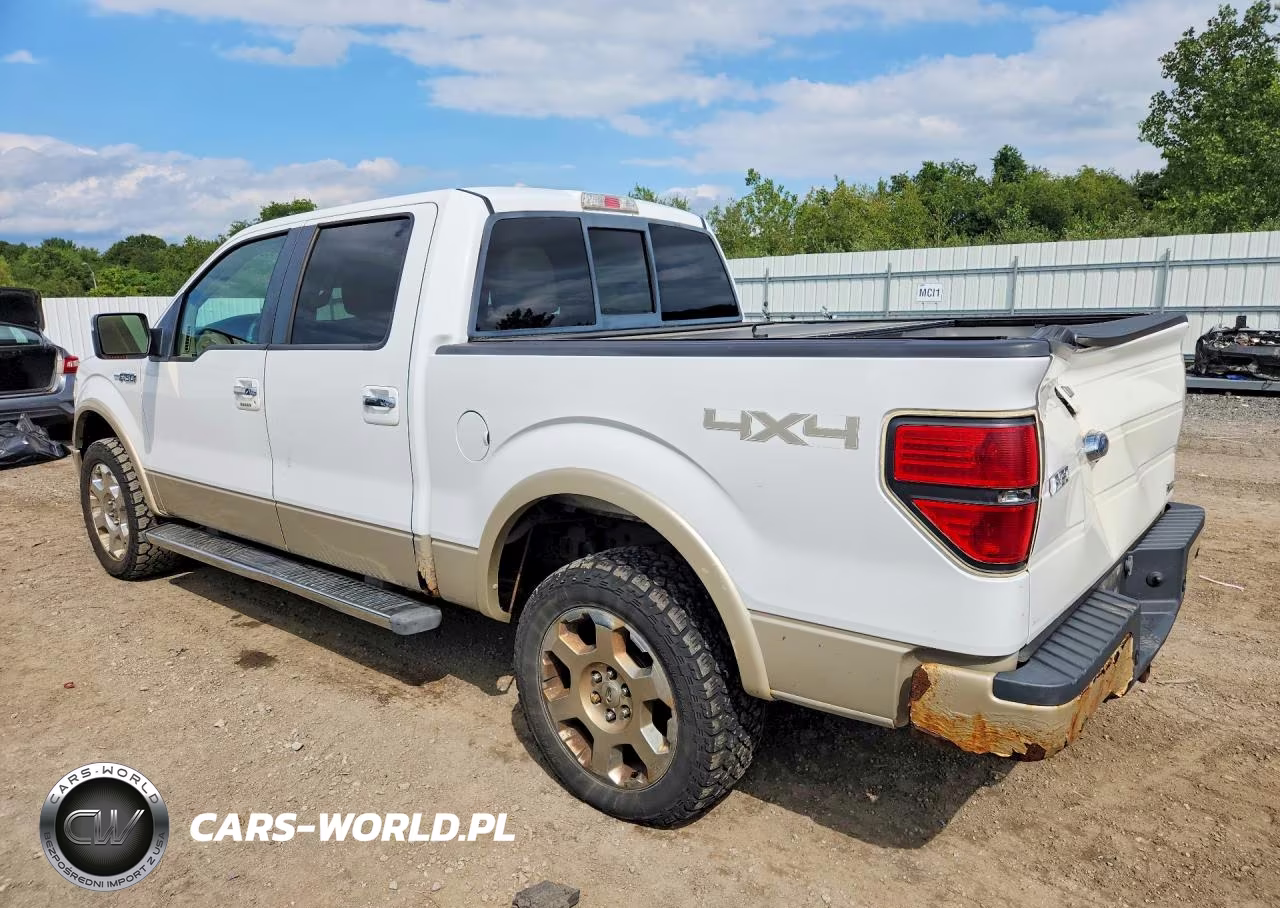2010 Ford F150 Supercrew VIN:1FTFW1EV3AFC87397 - 2