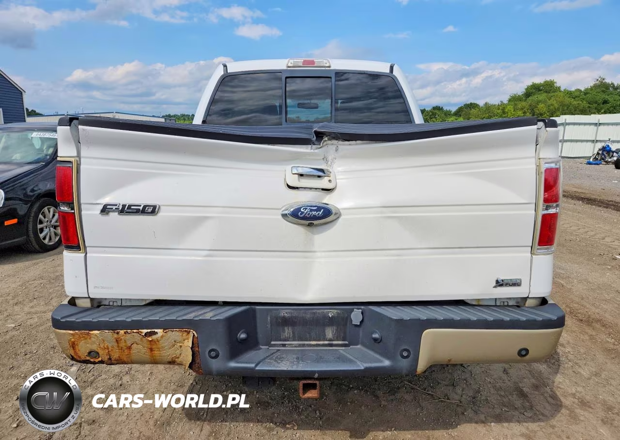 2010 Ford F150 Supercrew VIN:1FTFW1EV3AFC87397 - 6