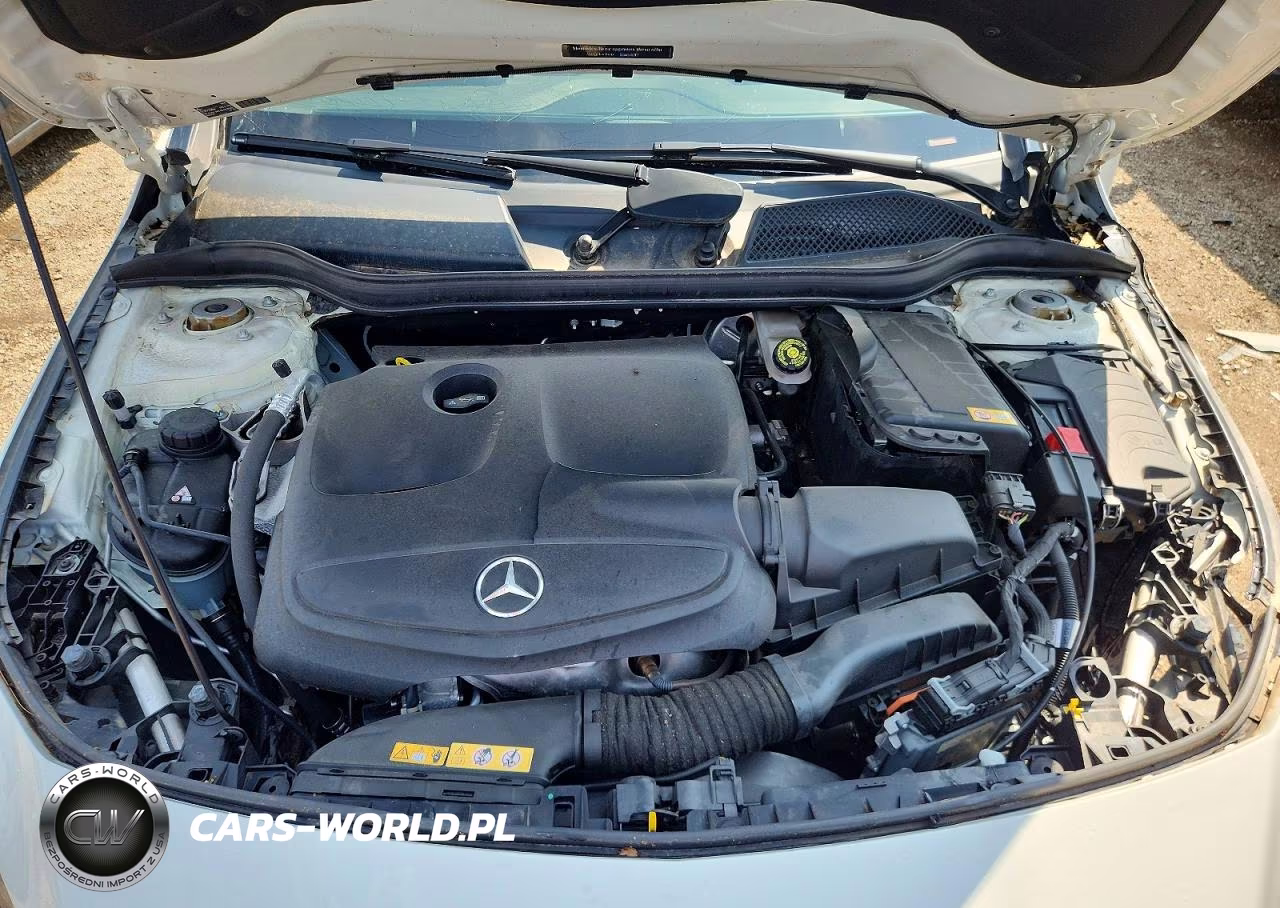2014 Mercedes-Benz Cla 250 VIN:WDDSJ4EB7EN125665 - 11