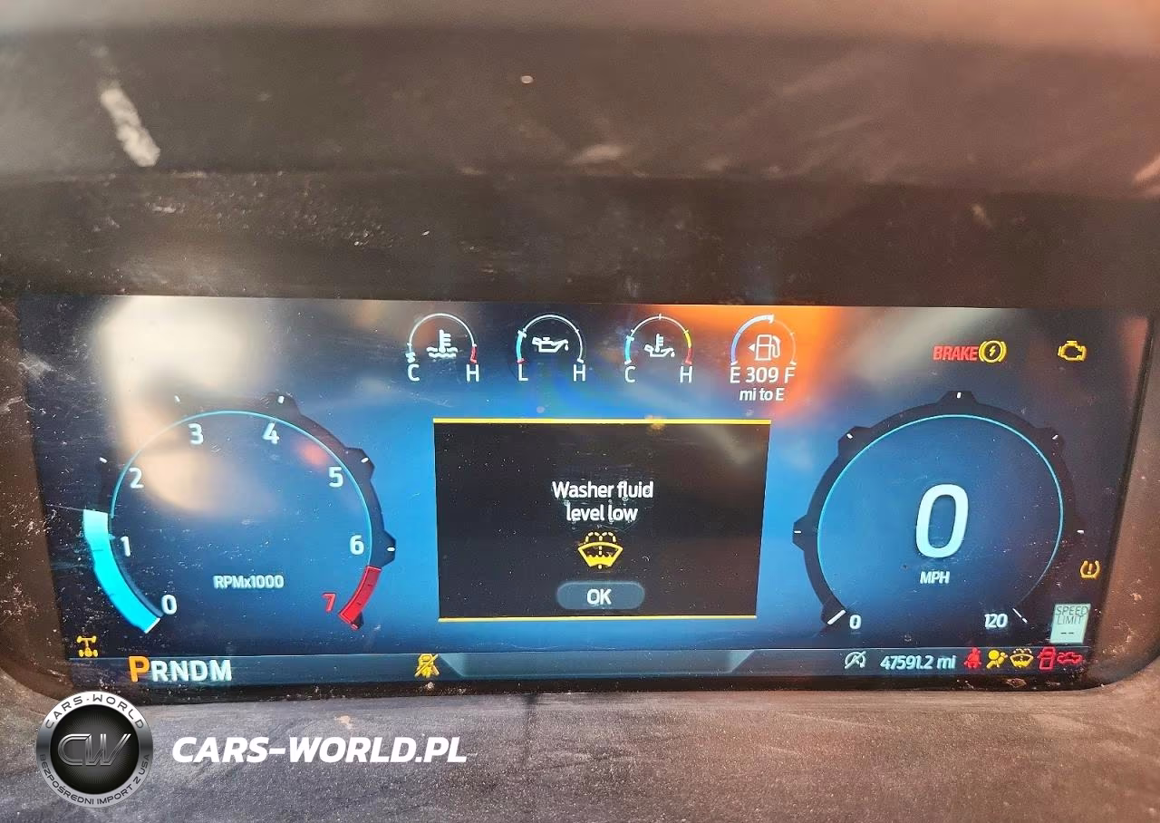 2024 Ford F150 Xlt VIN:1FTFW3L80RKD74881 - 9