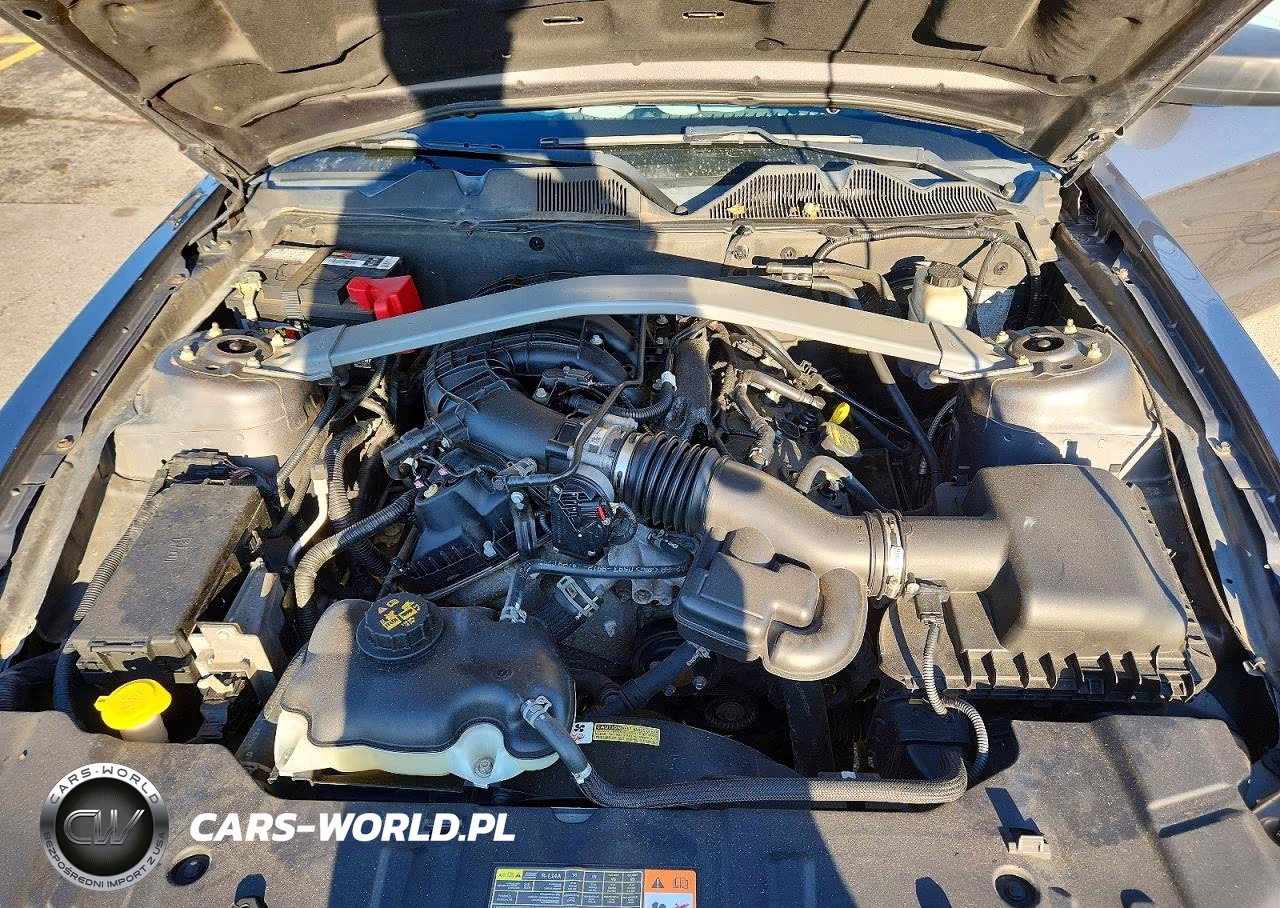 2014 Ford Mustang VIN:1ZVBP8EM9E5219996 - 11