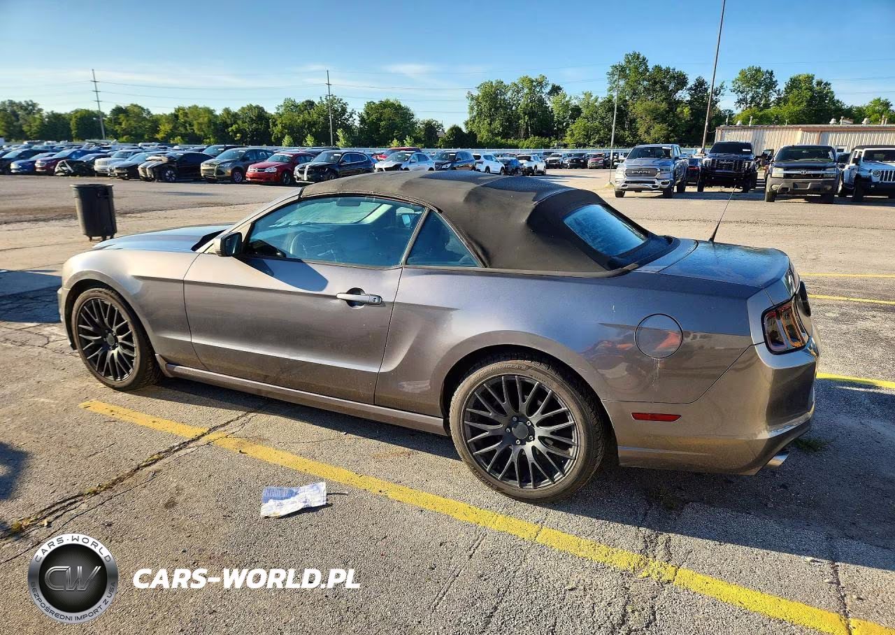 2014 Ford Mustang VIN:1ZVBP8EM9E5219996 - 2