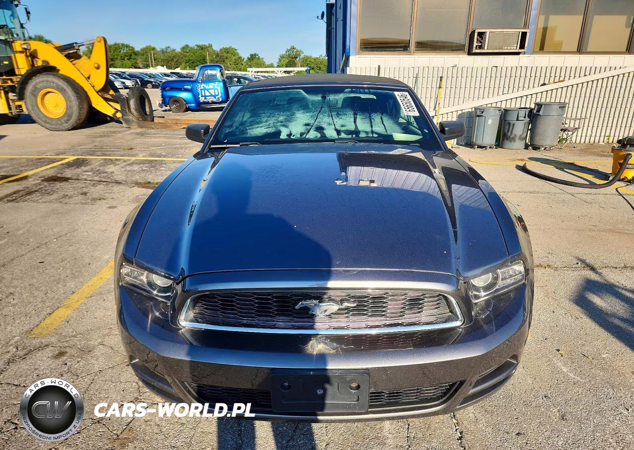 2014 Ford Mustang VIN:1ZVBP8EM9E5219996 - 5