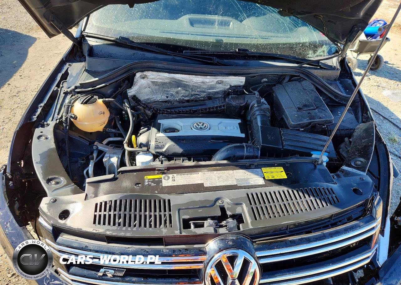 2016 Volkswagen Tiguan S VIN:WVGBV7AX9GW011922 - 12