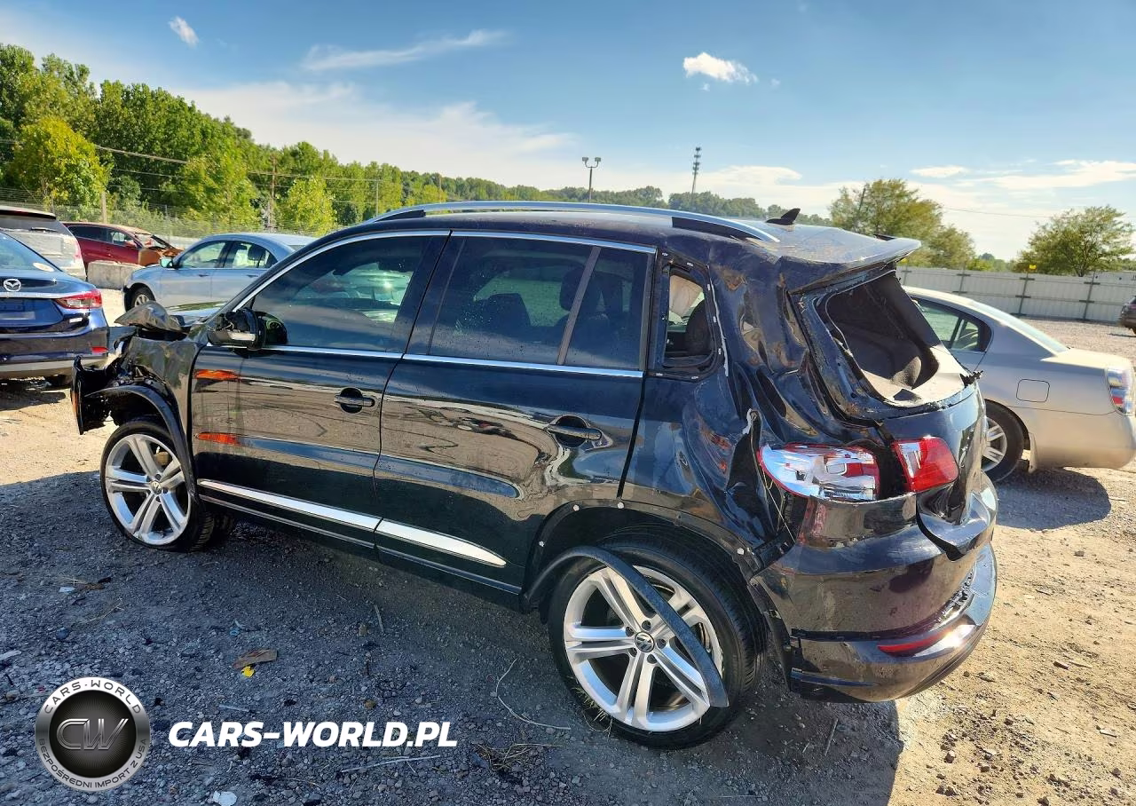 2016 Volkswagen Tiguan S VIN:WVGBV7AX9GW011922 - 2