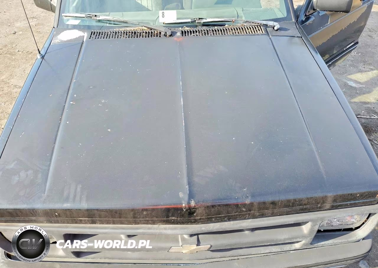 1994 Chevrolet Blazer K1500 VIN:1GNDT13W6R2106069 - 12