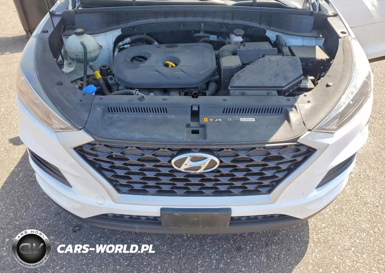 2019 Hyundai Tucson Se VIN:KM8J2CA44KU954825 - 12