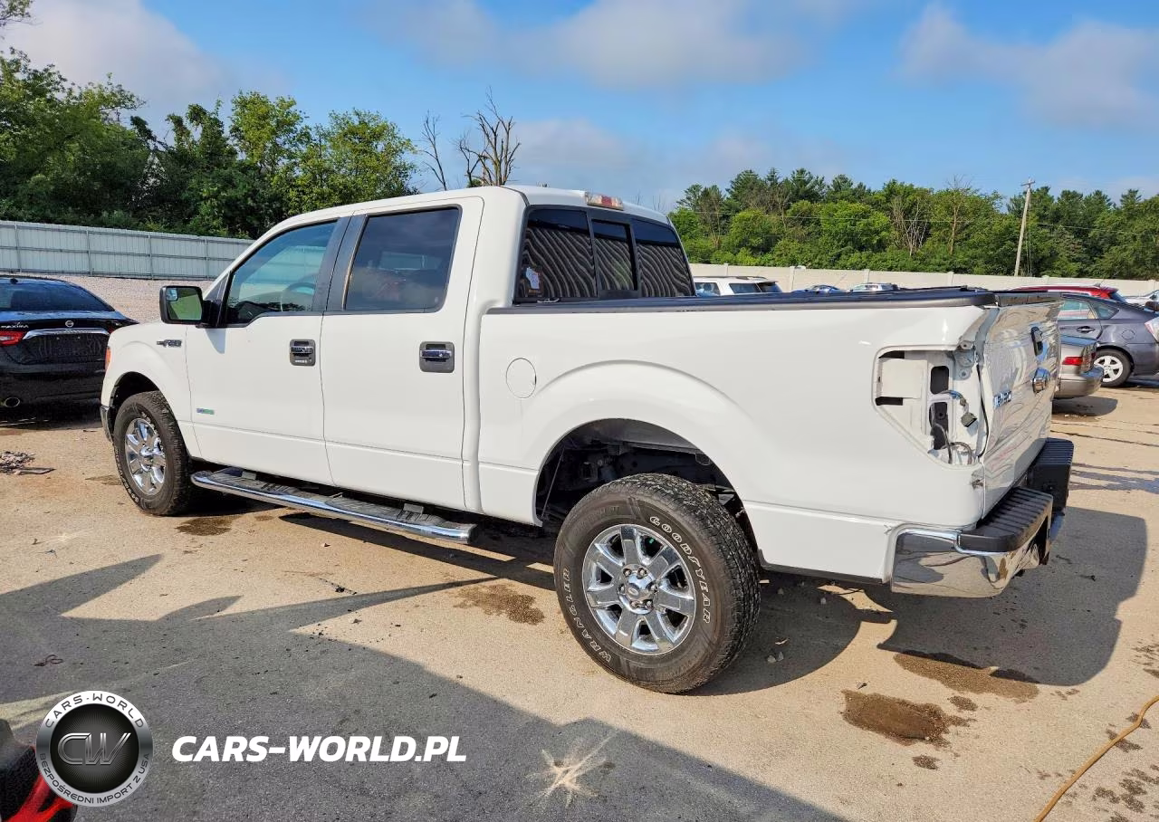 2013 Ford F150 Supercrew VIN:1FTFW1CT6DKD48447 - 2
