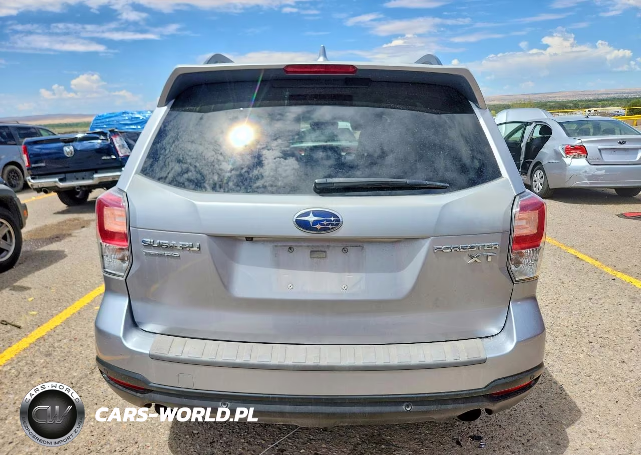 2017 Subaru Forester 2.0Xt Touring VIN:JF2SJGWC6HH565318 - 6