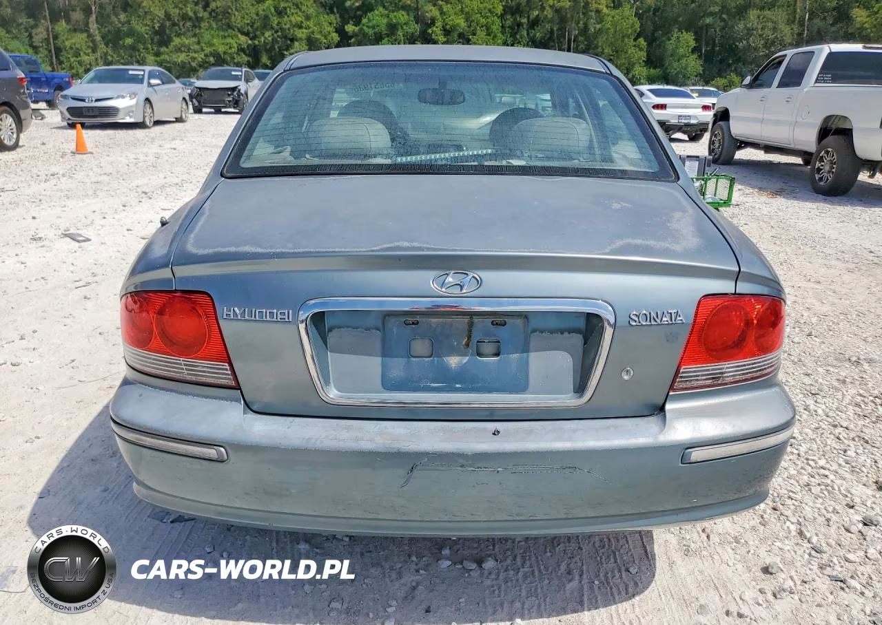 2005 Hyundai Sonata Gls VIN:KMHWF35H65A105163 - 6