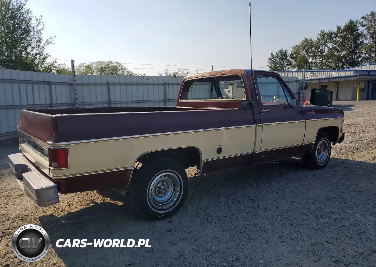 1977 Chevrolet C-10 VIN:CCU147Z134303 - 3