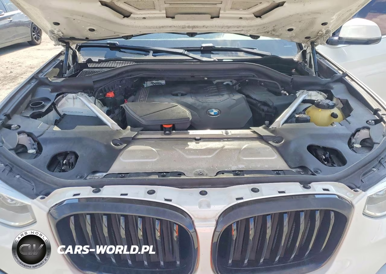 2020 BMW X3 Sdrive30I VIN:5UXTY3C09L9B62388 - 12