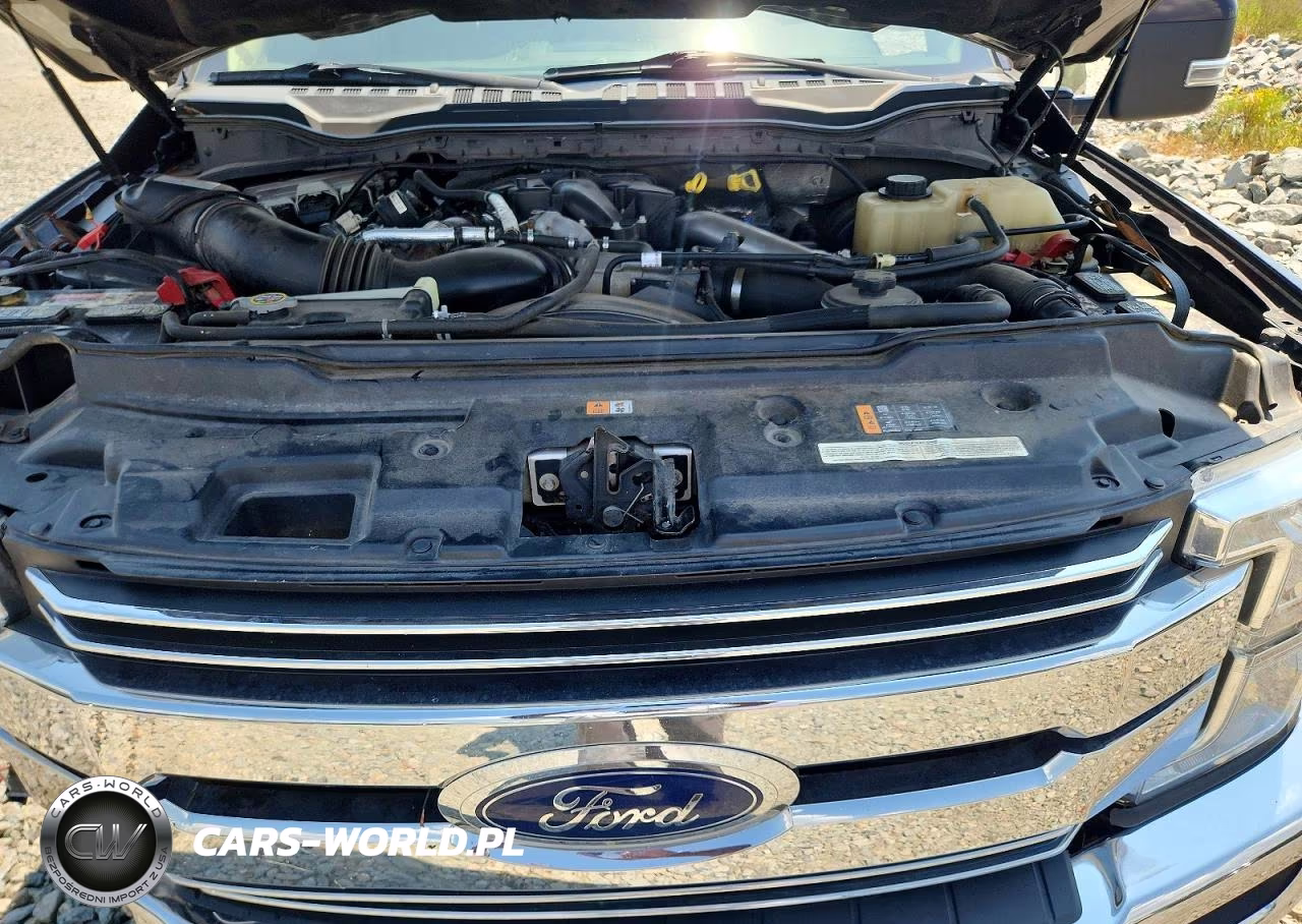 2019 Ford F250 Super Duty VIN:1FT7W2BT4KEC29576 - 11