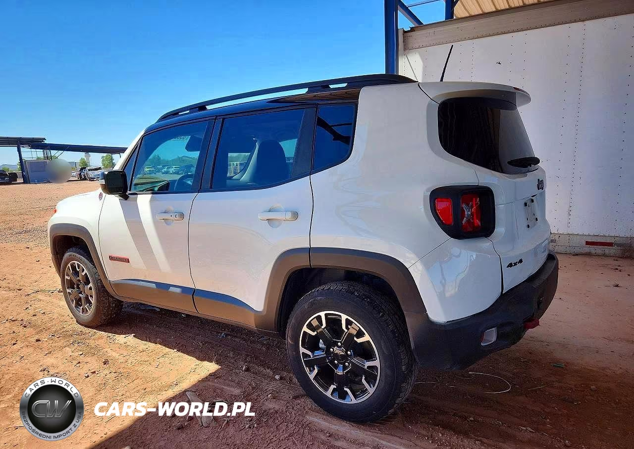 2023 Jeep Renegade Trailhawk VIN:ZACNJDC17PPP44520 - 2