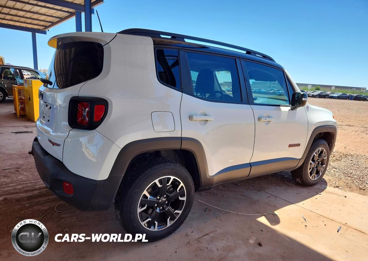 2023 Jeep Renegade Trailhawk VIN:ZACNJDC17PPP44520 - 3