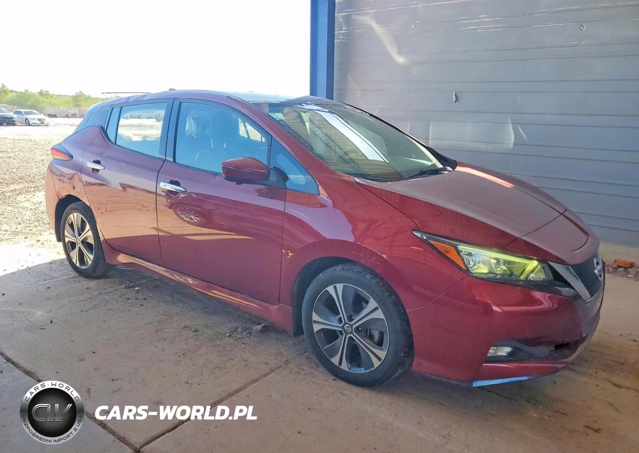 2020 Nissan Leaf Sl Plus VIN:1N4BZ1DP0LC311335 - 4