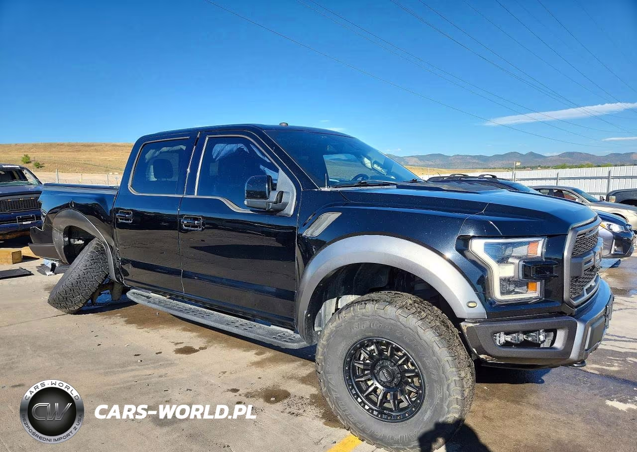 2018 Ford F150 Raptor VIN:1FTFW1RG4JFC88585 - 4