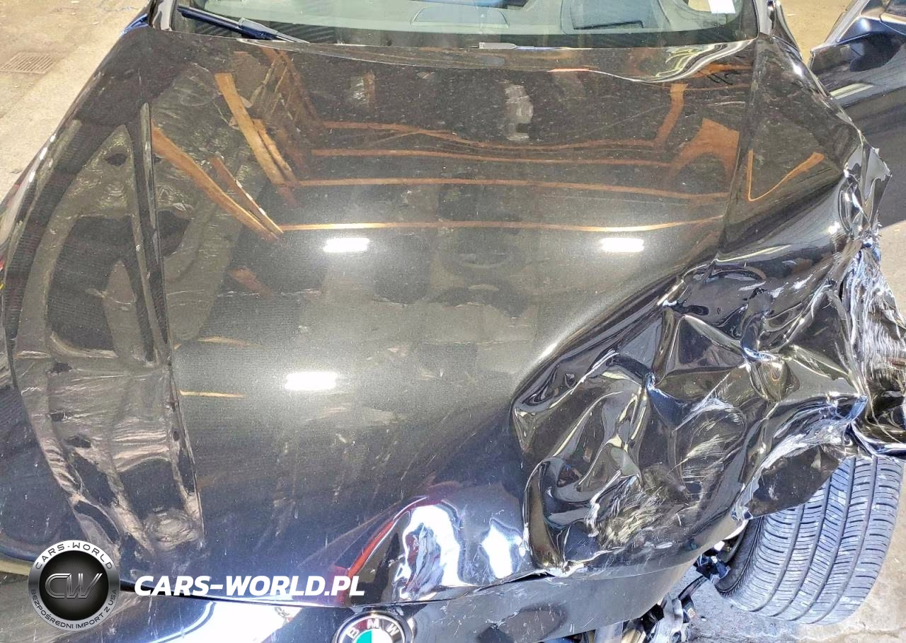 2019 BMW 430Xi VIN:WBA4W5C52KAE50914 - 11