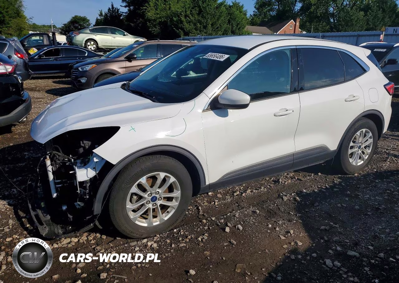 2020 Ford Escape Se – zdjęcie 1 z 12