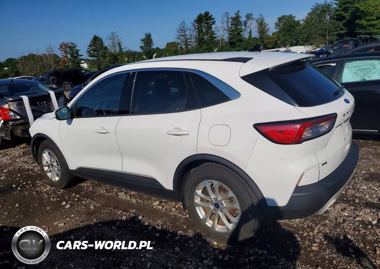 2020 Ford Escape Se VIN:1FMCU0G67LUA48079 - 2