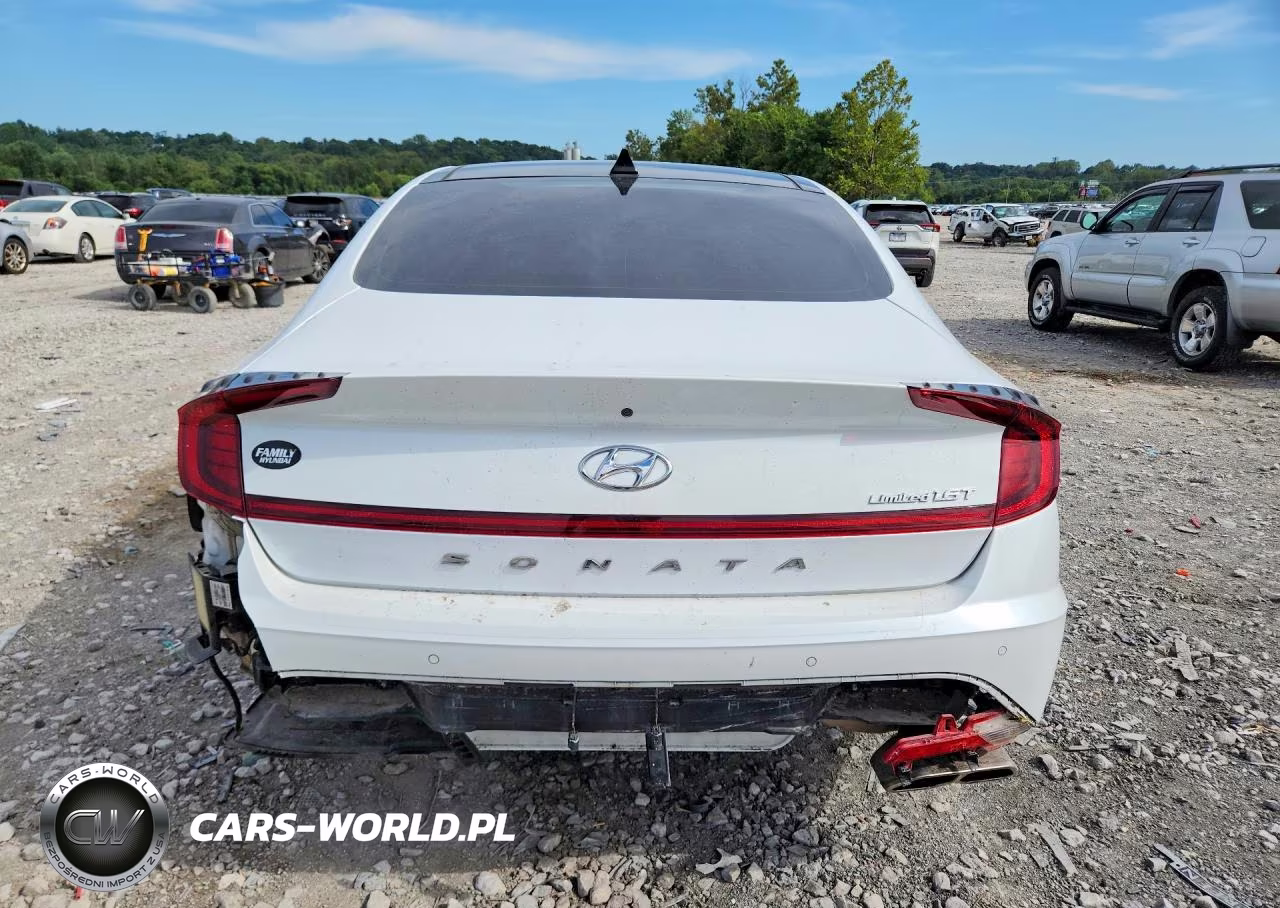 2020 Hyundai Sonata Limited VIN:5NPEH4J29LH011141 - 6