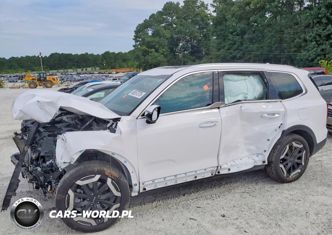 2025 Kia Telluride S VIN:5XYP6DGC5SG608243 - 1