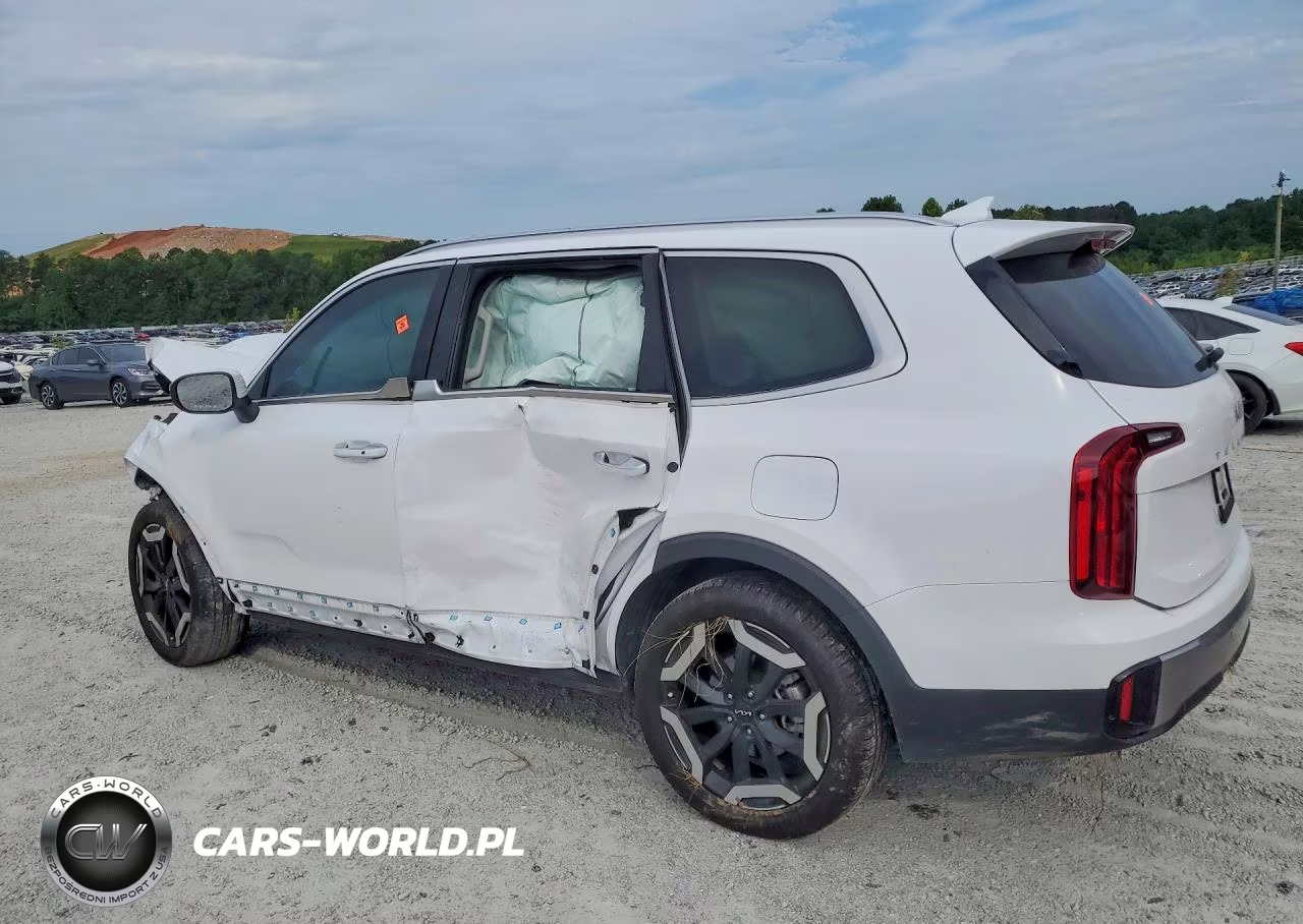 2025 Kia Telluride S VIN:5XYP6DGC5SG608243 - 2
