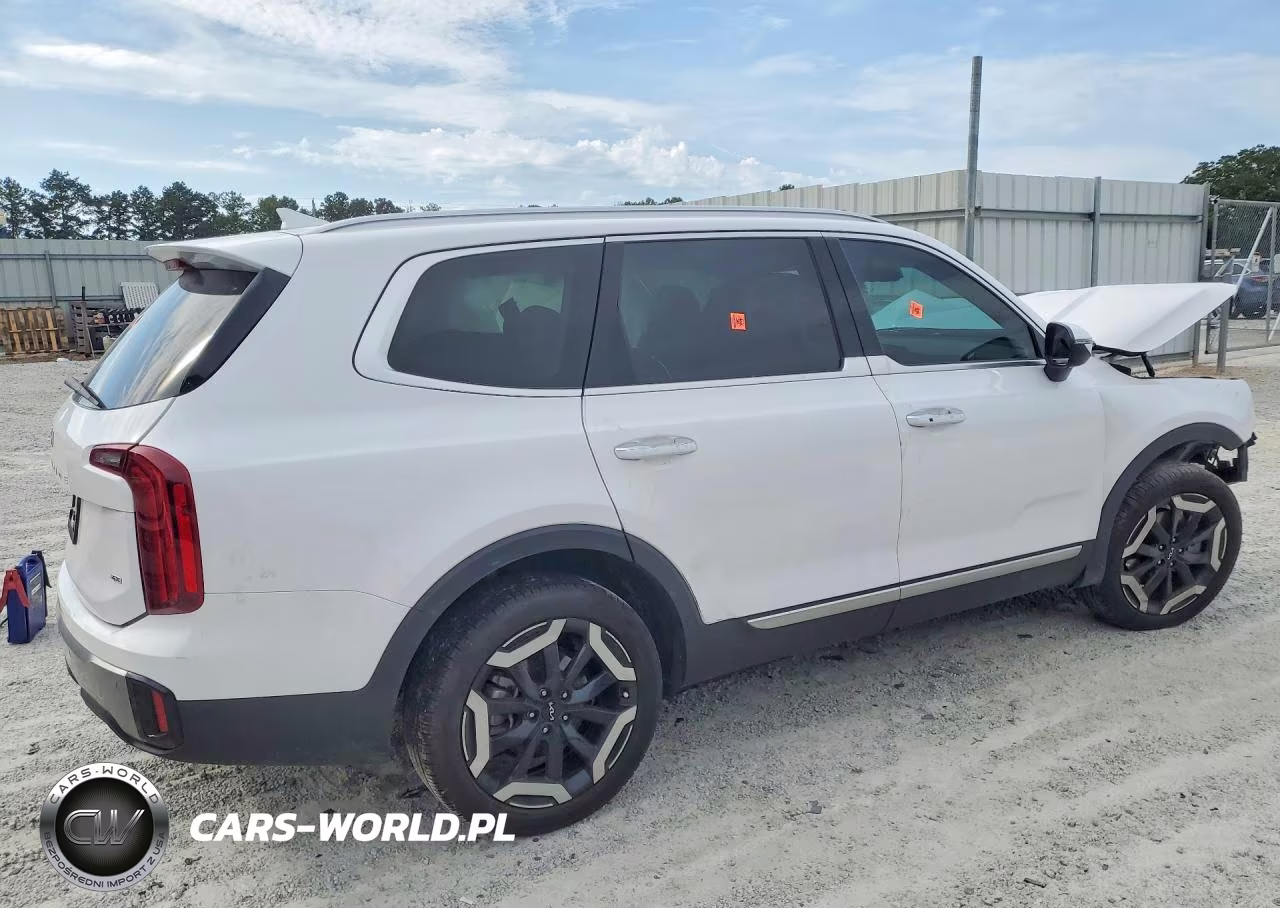 2025 Kia Telluride S VIN:5XYP6DGC5SG608243 - 3