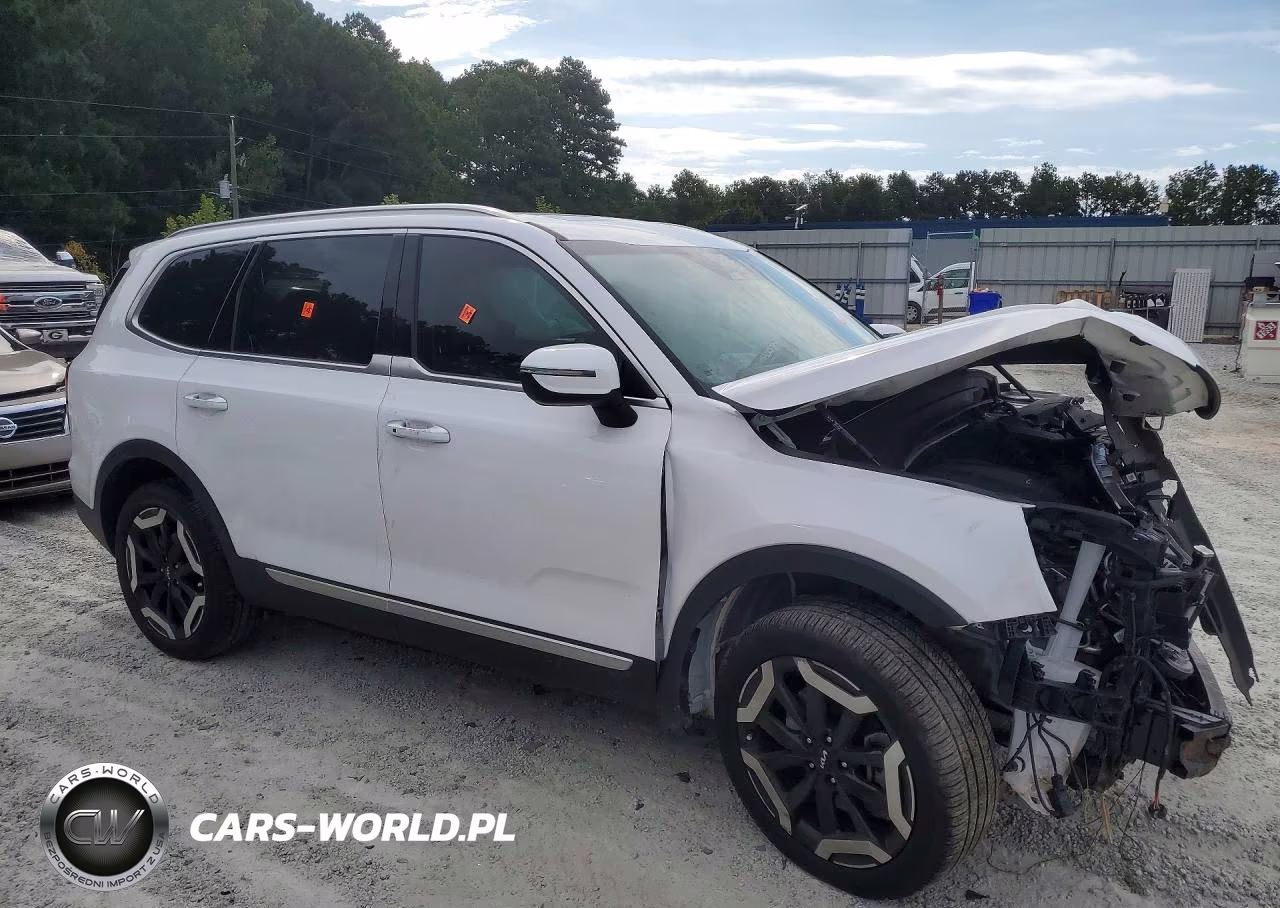 2025 Kia Telluride S VIN:5XYP6DGC5SG608243 - 4