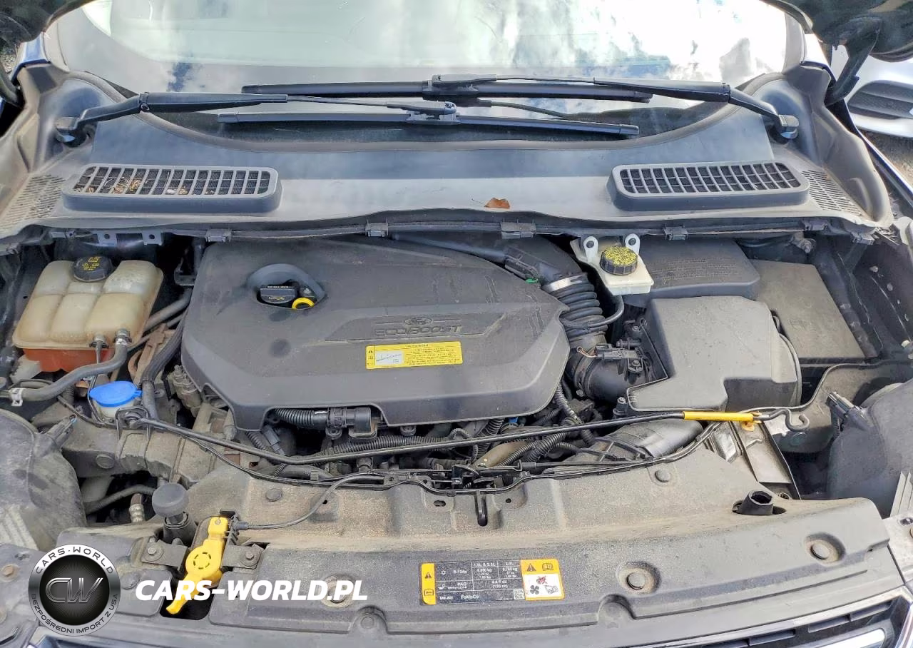 2013 Ford Escape Sel VIN:1FMCU9HX9DUC16902 - 12