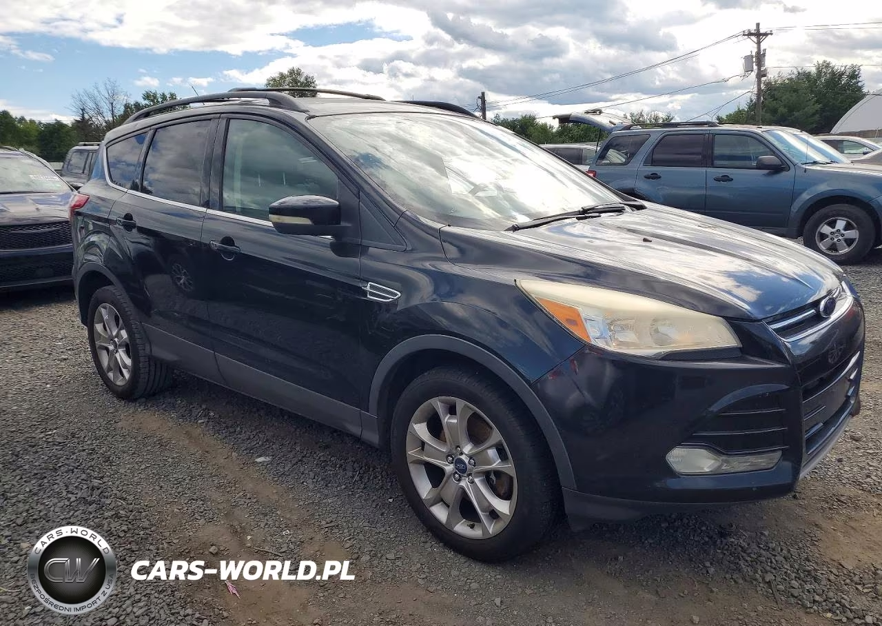 2013 Ford Escape Sel VIN:1FMCU9HX9DUC16902 - 4