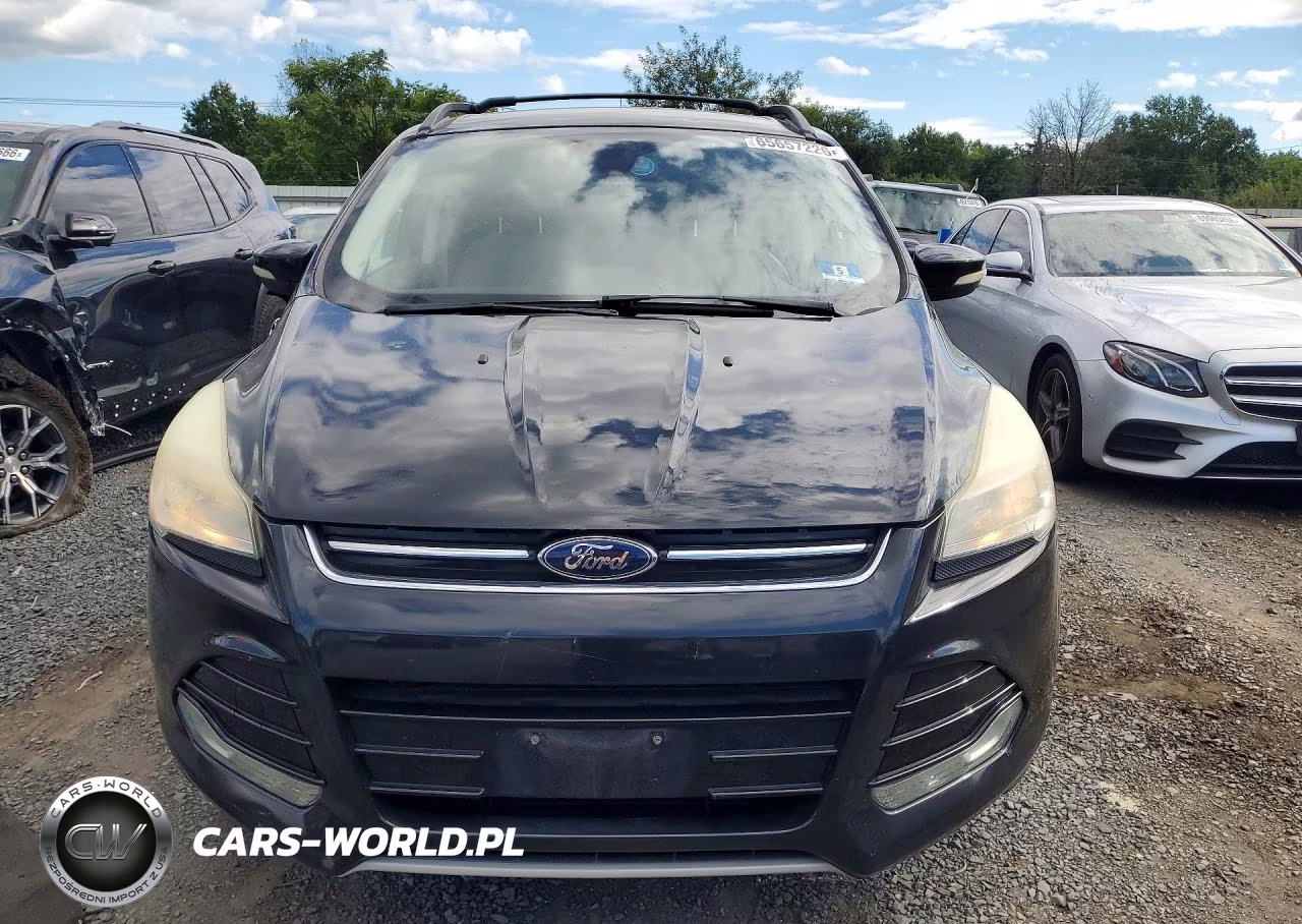 2013 Ford Escape Sel VIN:1FMCU9HX9DUC16902 - 5