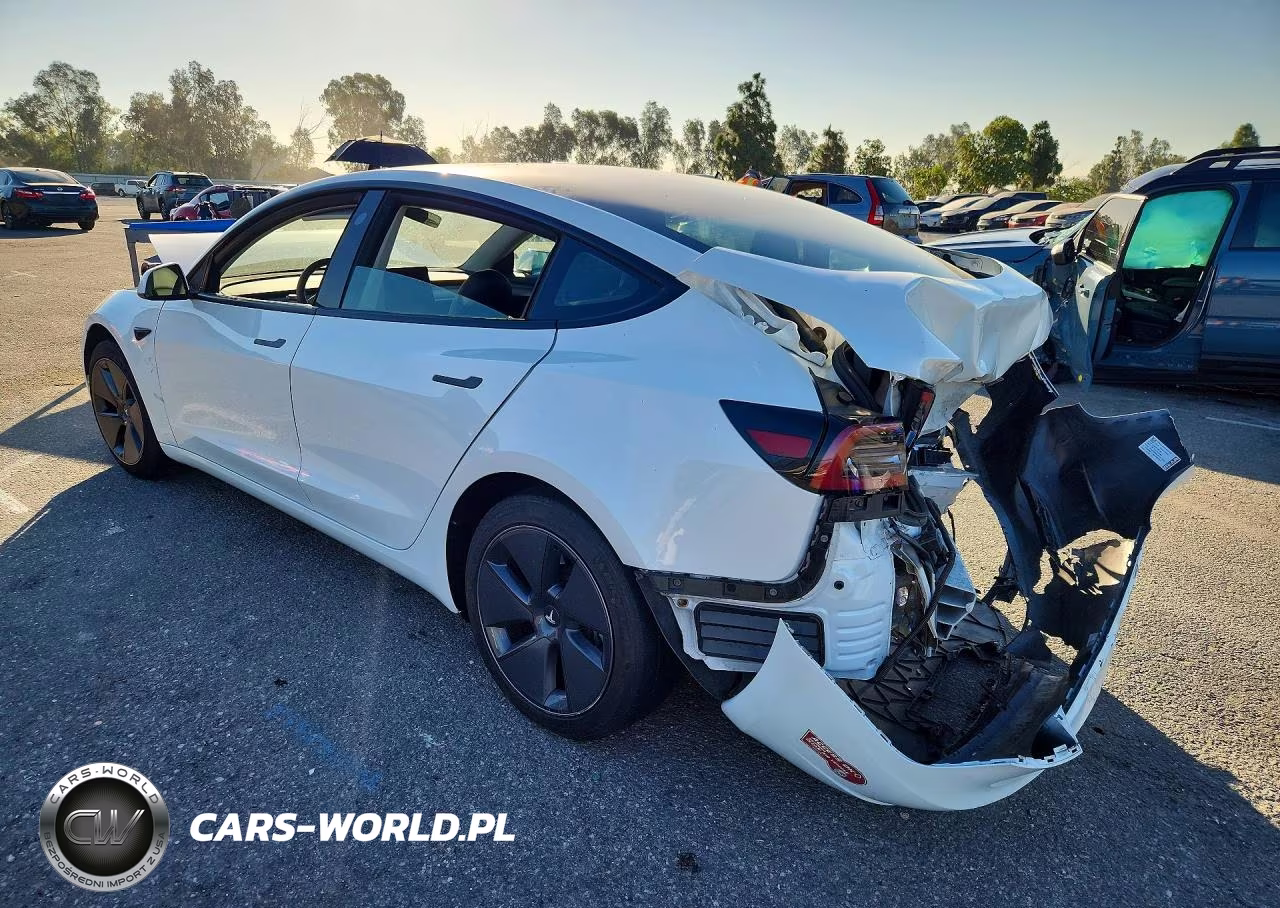 2023 Tesla Model 3 VIN:5YJ3E1EA5PF598183 - 2