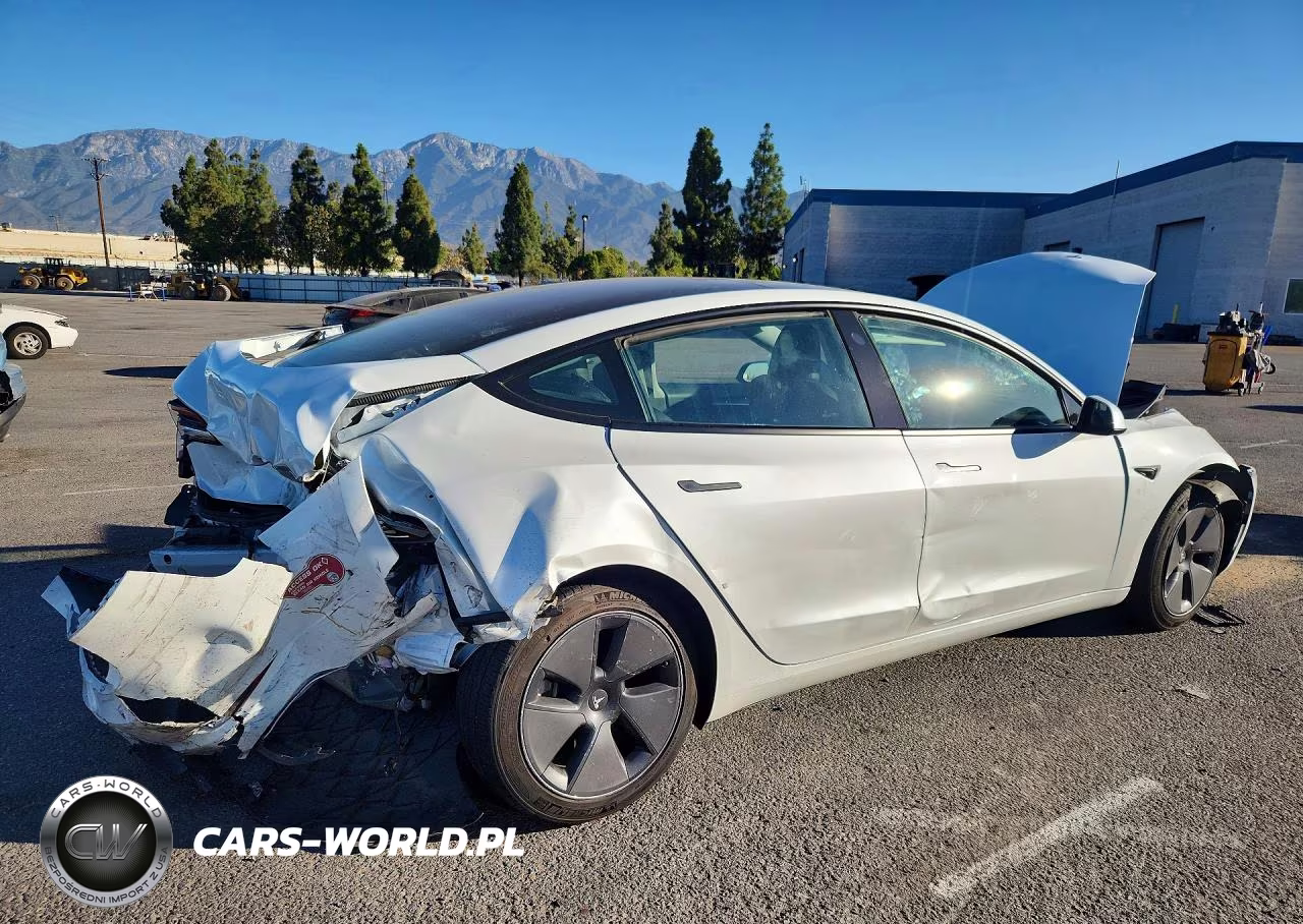 2023 Tesla Model 3 VIN:5YJ3E1EA5PF598183 - 3